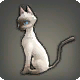 Nagxianische Katze