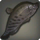 Dunkelstahl-Messerfisch