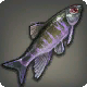 Albdr&uuml;ckerfisch