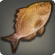 Hedonfisch