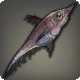 Teufelsbart-Grenadierfisch