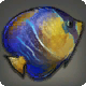 Kronenfisch