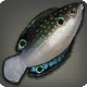 Othardischer Lippfisch