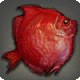 Eberfisch