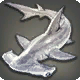 Platinhammerhai