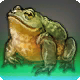 Hippofrosch