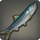 K&ouml;derfisch