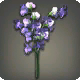 Violette Duftwicken