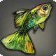 Verdigris-Guppy
