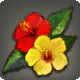 Bunte Insel-Blumen