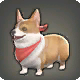 Corgi