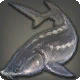 Kaviarfisch