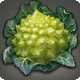 Romanesco-Kohlkopf