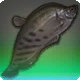 Onyx-Messerfisch
