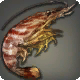 Gefleckte Garnele