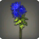 Blaue Chrysanthemen