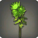 Gr&uuml;ne Chrysanthemen