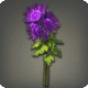Violette Chrysanthemen