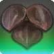 Erhabene antike Drachenschuppe