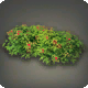Aloalo-Hibiskushecke