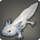 Zorlortor