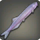 Candiru
