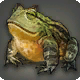 Hornfrosch