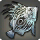 Vergessener Fisch