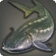 Fulmisturgeon