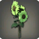 Gr&uuml;ne Sonnenblumen