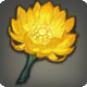 Nopalbl&uuml;te