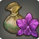 Cattleya-Samen