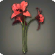 Rote Cattleyas