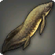 Mond-Lungenfisch