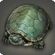 Mond-Schildkr&ouml;te
