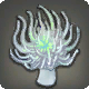 Lunar-Anemone