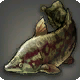 Nadirichthys