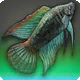 Galaxiefackelfisch