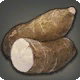 Cassava