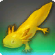 Lauer-Axolotl