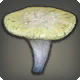 Mutierter Fungus