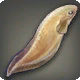 Erkunder-Schnecke