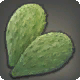 Nopal