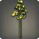 Gelbe Drillingsblumen