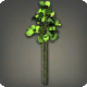 Gr&uuml;ne Drillingsblumen