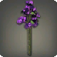 Violette Drillingsblumen