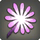 Pinkempf&auml;nger-Bl&uuml;te