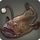 Anglerfisch
