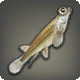Vieraugen-Fisch