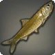 Sandfisch